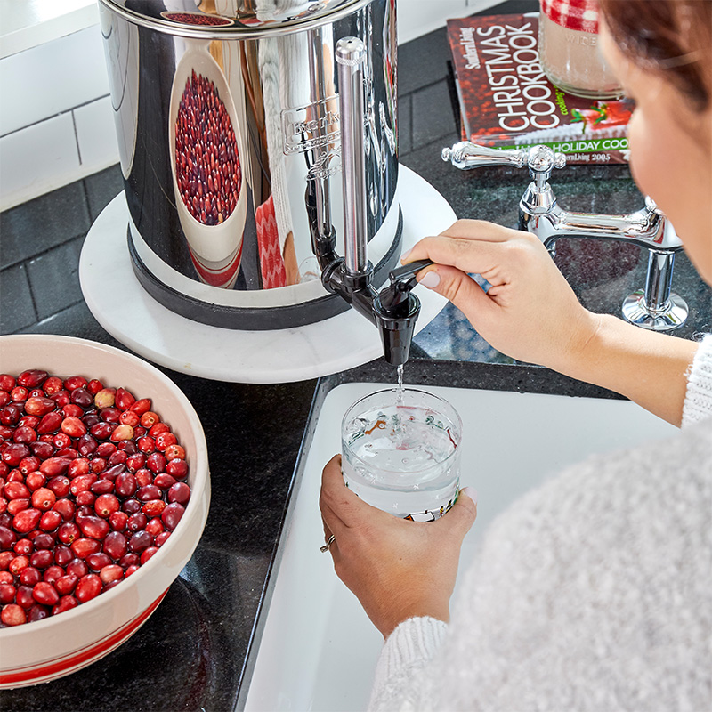 purificateur d'eau royal berkey®