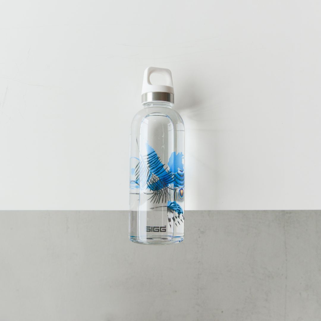 une gourde de la marque sigg modèle leaves