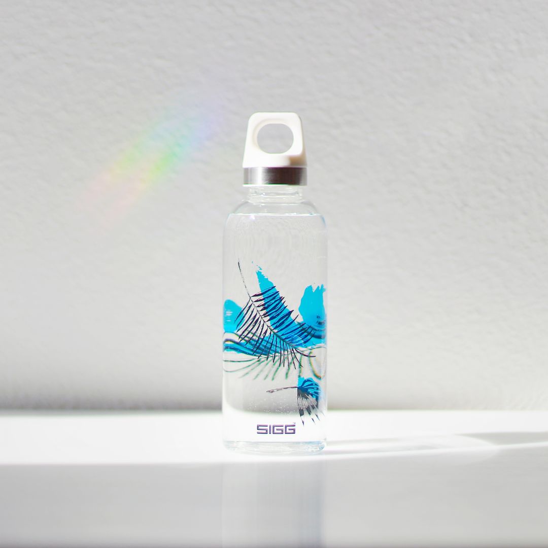 une gourde de la marque sigg modèle leaves sur une table